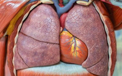 Initial Management of Pediatric Arrest