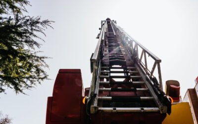 Recruitment and Population Growth