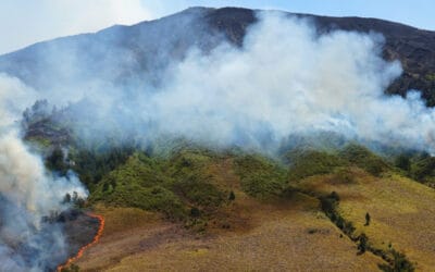 S-190: Temperature, Moisture Relationships, and Topography