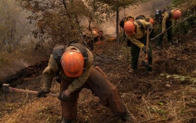 S-130: Suppression, Tools, and Equipment