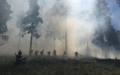 S-130: Case study and Incident Exercise